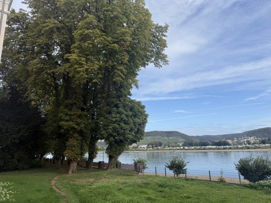 Direkter Weg zum Rhein Dachgeschosswohnung Bad Breisig