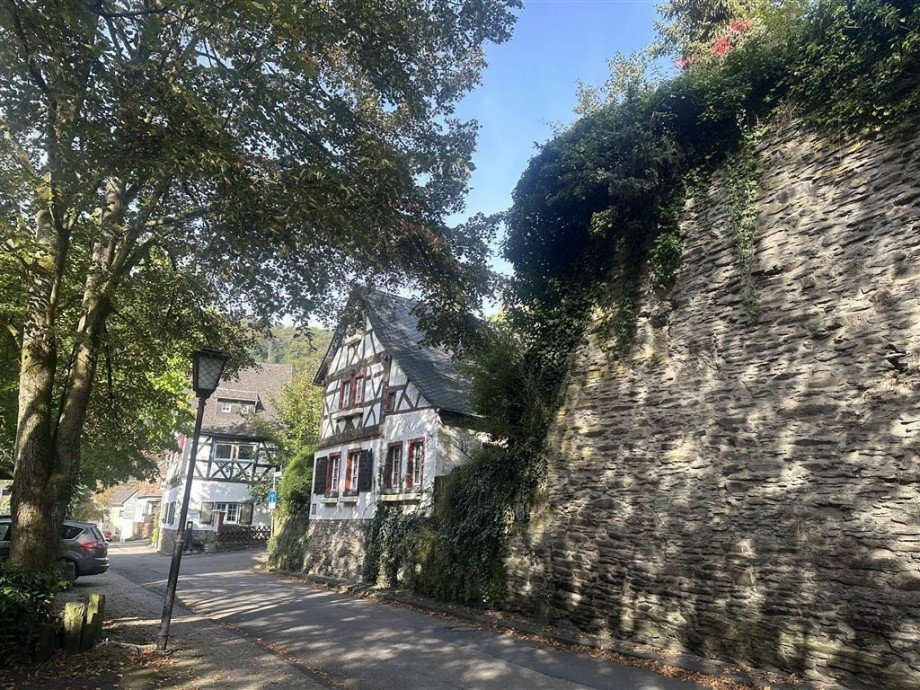 Ansicht seitlich Einfamilienhaus Neuwied