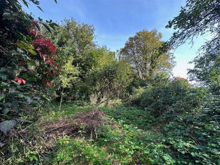 Verwunschener Garten Einfamilienhaus Neuwied