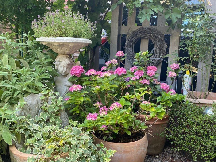 Wohlf�hlgarten Stadthaus Neuwied