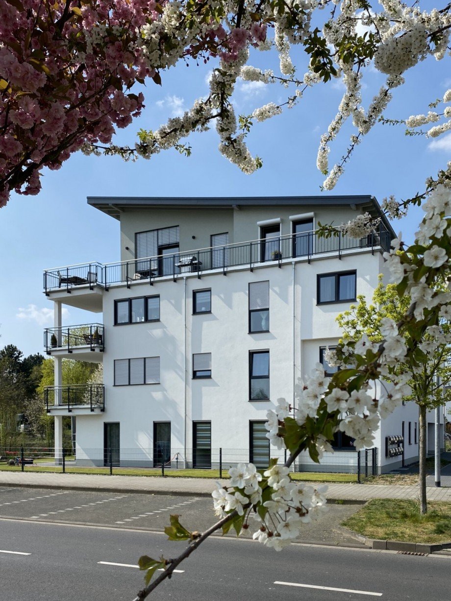 Penthouse Penthousewohnung Neuwied