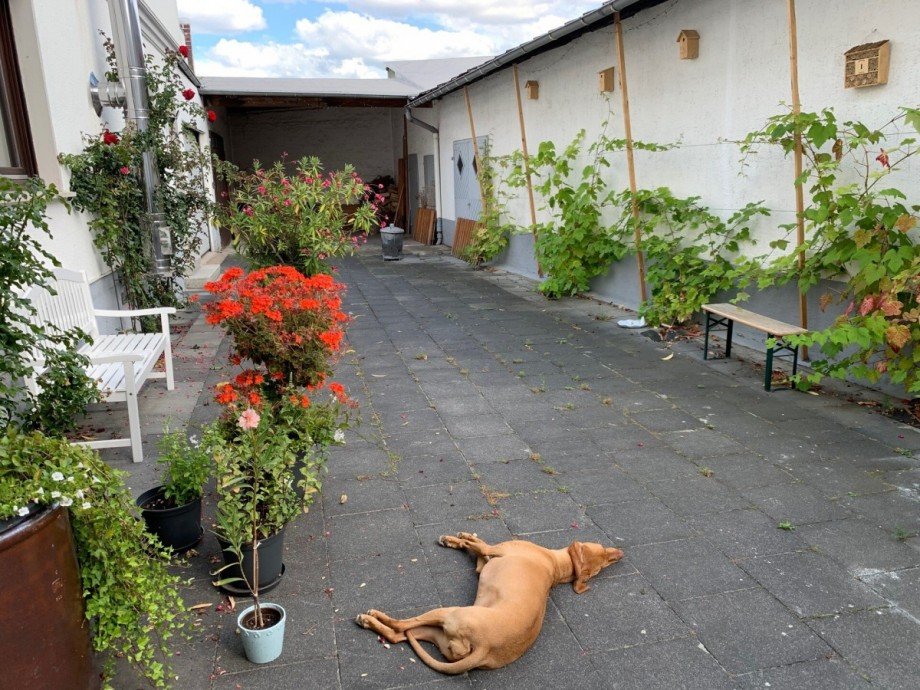 Innenhof Zweifamilienhaus Neuwied / Feldkirchen