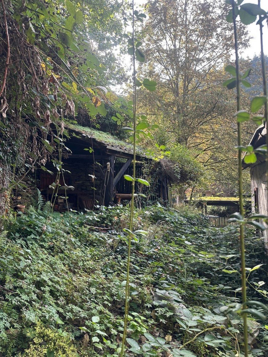 Verwunschener Garten Einfamilienhaus Neuwied